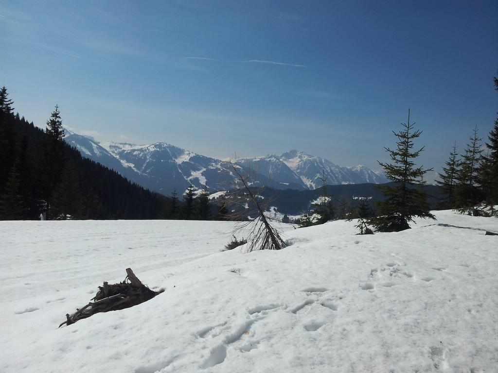 Appartement Hubertus Flachau Quarto foto